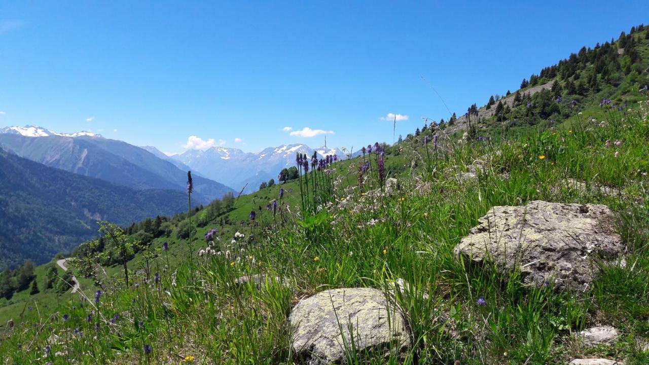 Chalet Solneige Vaujany Zewnętrze zdjęcie